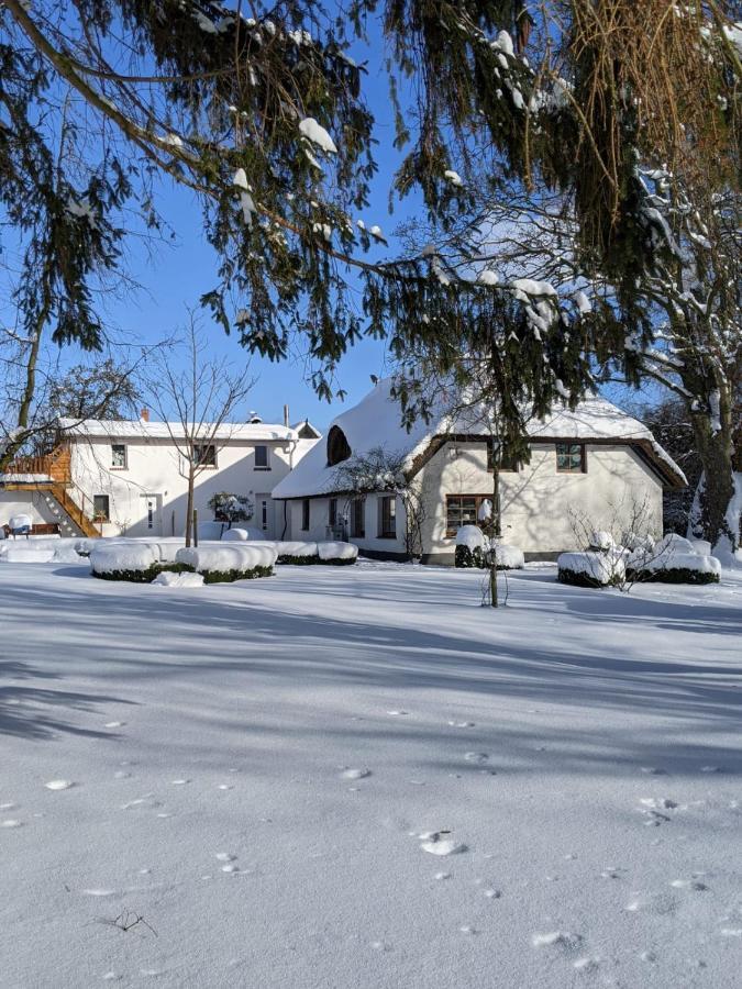 Neuenkirchen Moritzhagen Apartman Kültér fotó